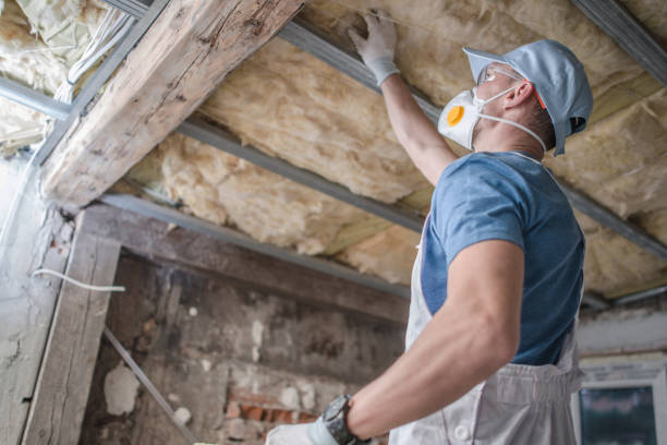 Best Commercial Insulation Services  in , TX